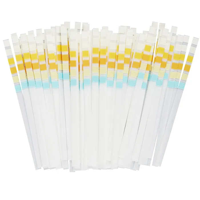 6 OB Urine Reagent Test Strips, 100 Per Bottle