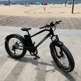 Nakto Super Cruiser 26" Fat Tire Beach Cruiser E-Bike