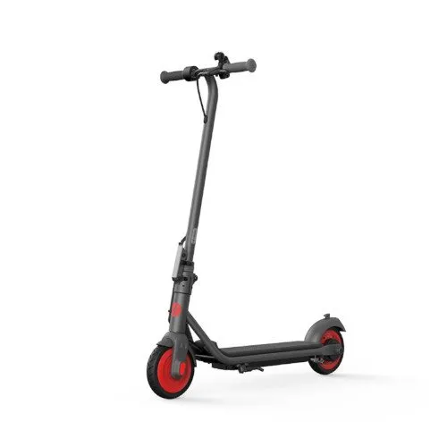 Segway ZING C20 Ninebot eKickScooter Electric Scooter 10 Years Plus