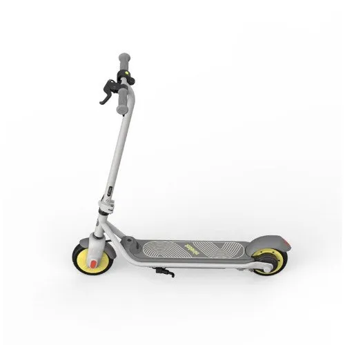 Segway ZING C20 Ninebot eKickScooter Electric Scooter 10 Years Plus