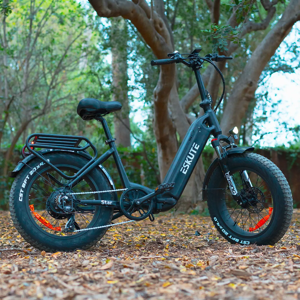 Star Fat Tires EBike（Foldable）